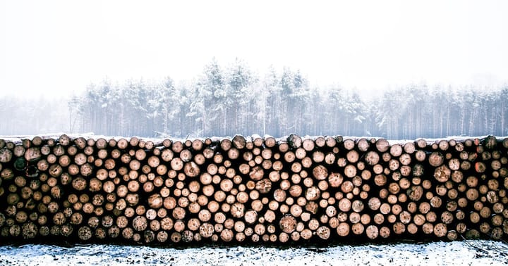 Understanding Sitecore logs – Part 3: Sitecore version, assemblies, environment and scheduler