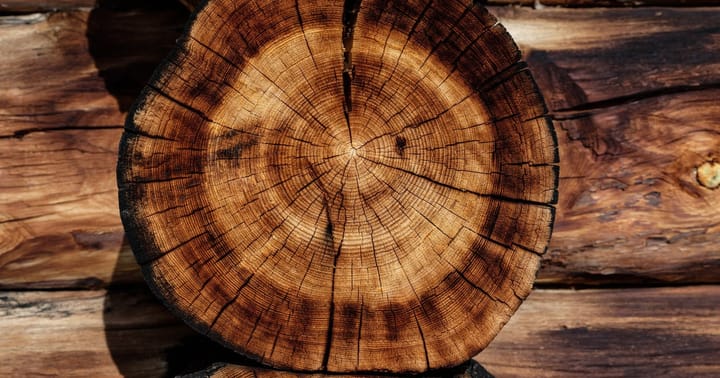 Understanding Sitecore logs – Part 5: Thread Pool Size Monitor, Rebus, Assembly Resolver, MVC Area Registration and XML Configuration Load
